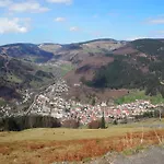 Schwarzwaldfeder