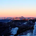 Schwarzwaldfeder Todtnau