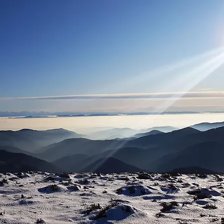 Schwarzwaldfeder Apartment