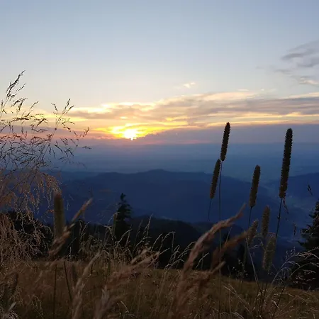Apartment Schwarzwaldfeder Todtnau