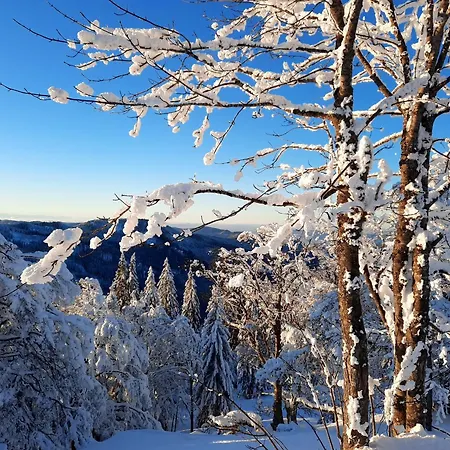 Schwarzwaldfeder Apartment Todtnau