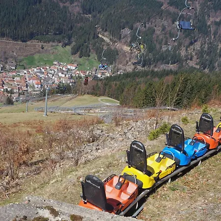 Apartment Schwarzwaldfeder Todtnau