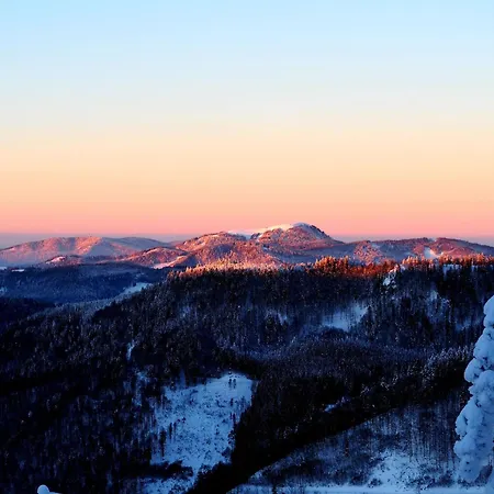 Schwarzwaldfeder Apartment