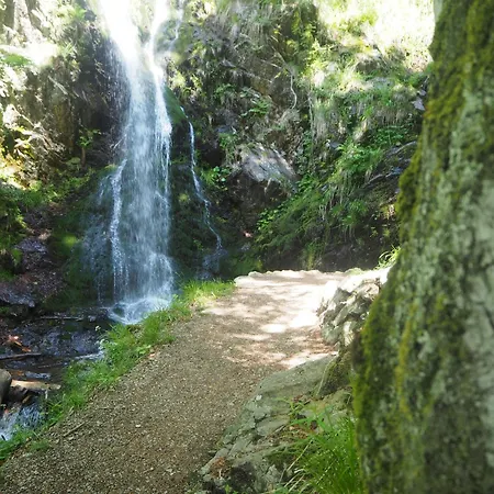 Schwarzwaldfeder Apartment *