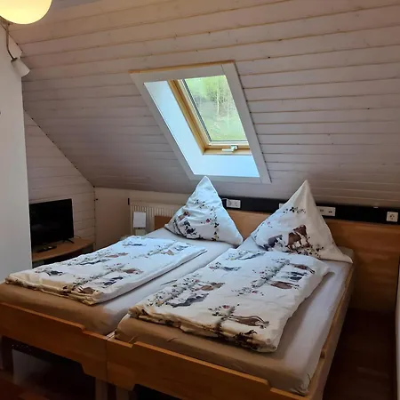 Schwarzwaldfeder Apartamento Todtnau
