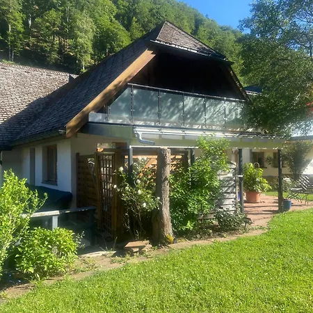 Schwarzwaldfeder Lägenhet