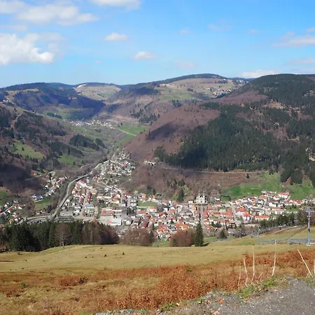 Schwarzwaldfeder Apartamento Todtnau