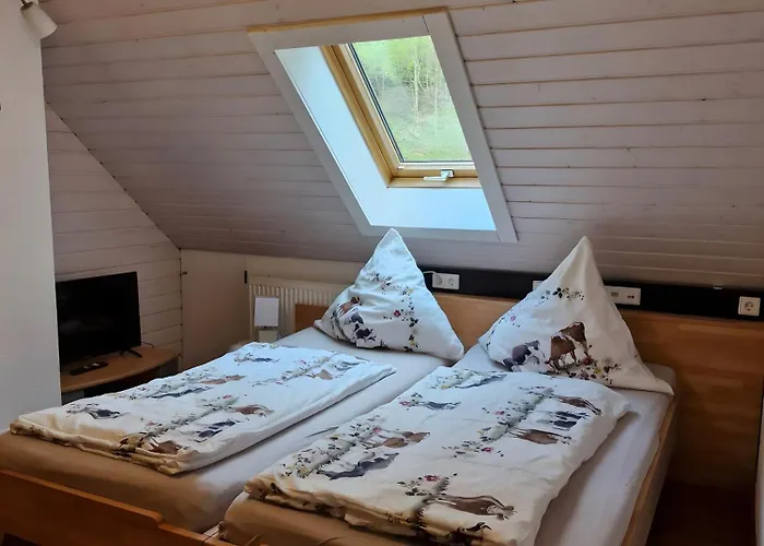 Schwarzwaldfeder Todtnau